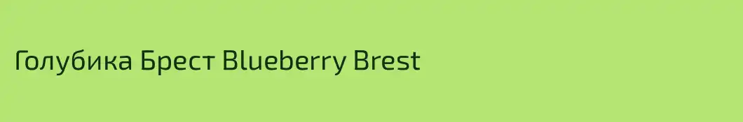 Голубика Брест Blueberry Brest